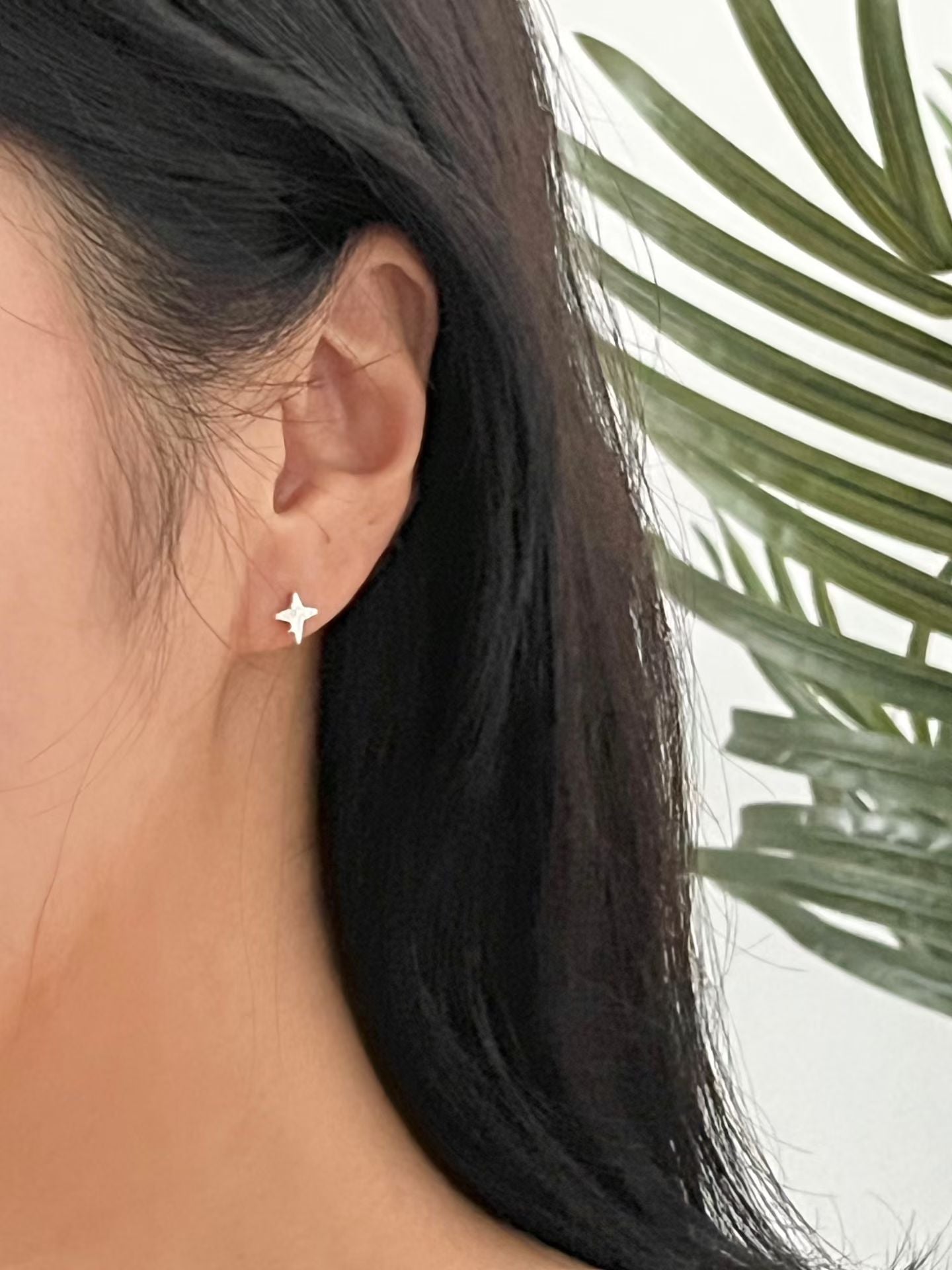 Polaris Star Earrings | 閃鑽北極星耳環￼